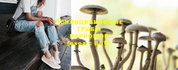 крисы Лабытнанги