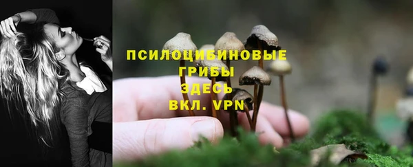 молекула духа Кукмор