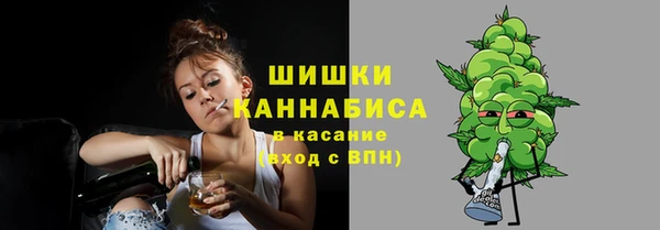 крисы Лабытнанги