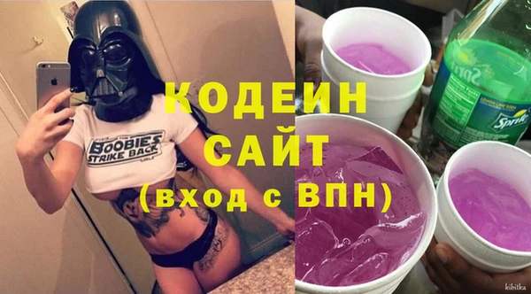 крисы Лабытнанги