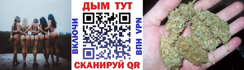 Купить  Бобров  Бошки марихуана OG Kush 